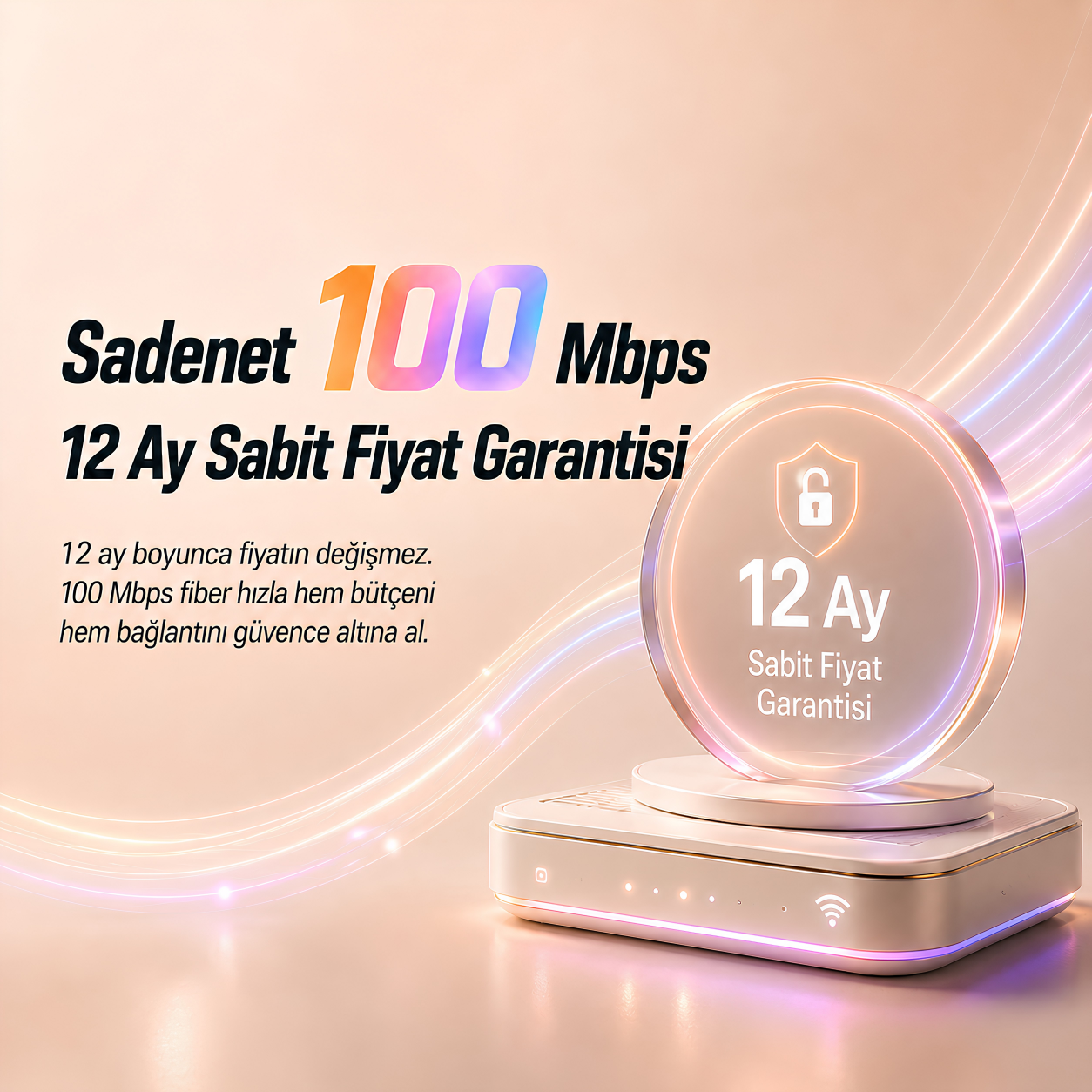 Sadenet 100 Mbps — 12 Ay Sabit Fiyat Garantisi